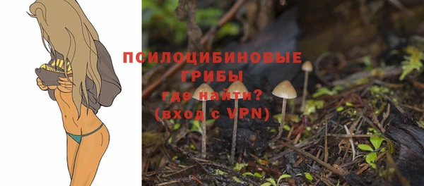 МДМА Богородицк