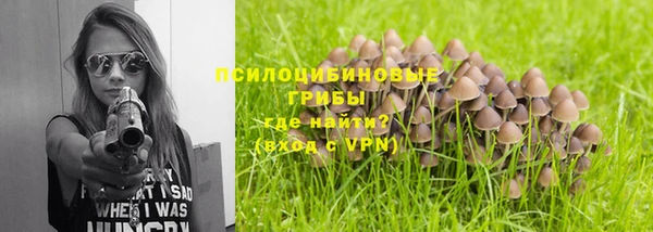 марки nbome Бородино